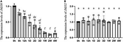 Histone Demethylases JMJ30 and JMJ32 Modulate the Speed of Vernalization Through the Activation of FLOWERING LOCUS C in Arabidopsis thaliana